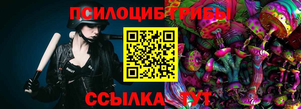 Псилоцибиновые грибы мицелий Верхняя Пышма