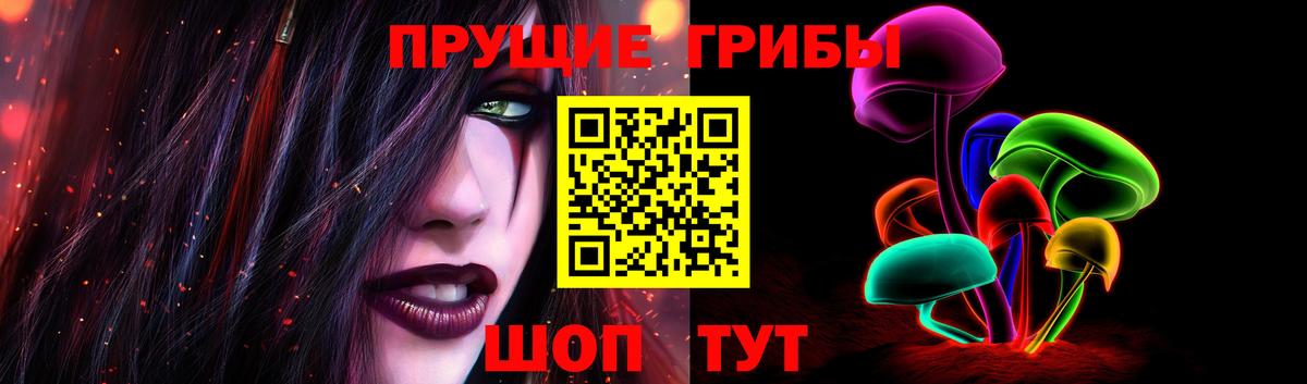 Верхняя Пышма  Галлюциногенные грибы прущие грибы  Вход с VPN 